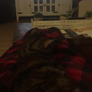 Meet your Posher, Rose m